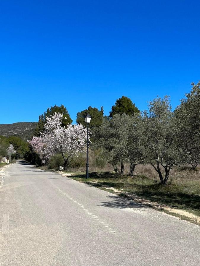 Villa Les Jardins De La Graviere A 5 Mn De Lourmarin Avec Piscine Privee à Puyvert Extérieur photo